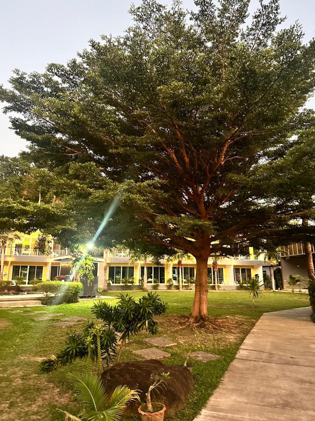 Gypsy Sea View Resort- Phi Phi Island מראה חיצוני תמונה
