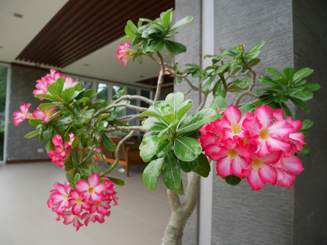 Gypsy Sea View Resort- Phi Phi Island מראה חיצוני תמונה